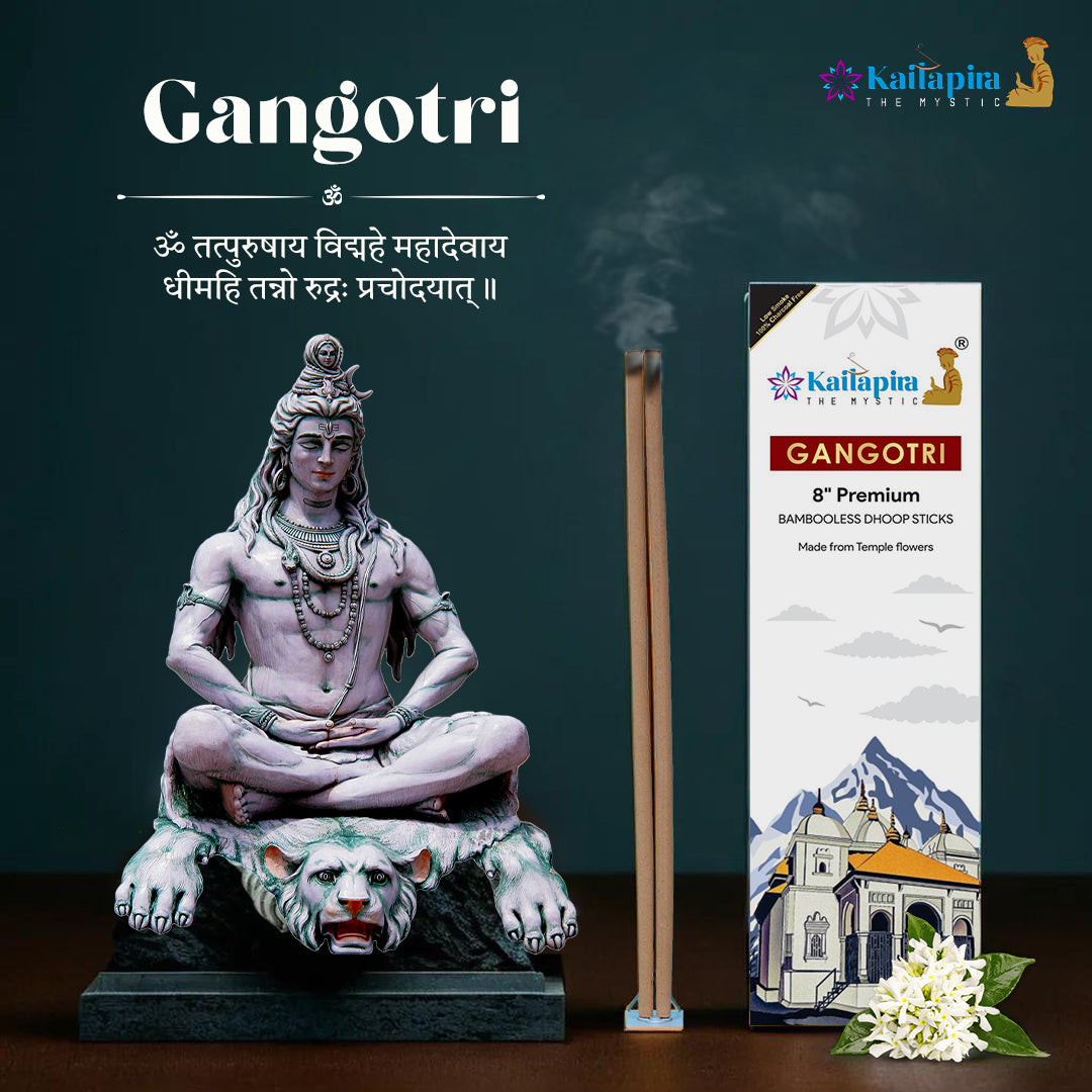 Gangotri 8″ Premium Dhoop Batti, Incense Sticks (Pack of 40 Sticks)